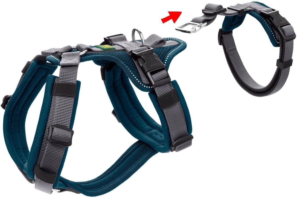 Sicherheitsgeschirr XS-S, XS-S petrol/grau