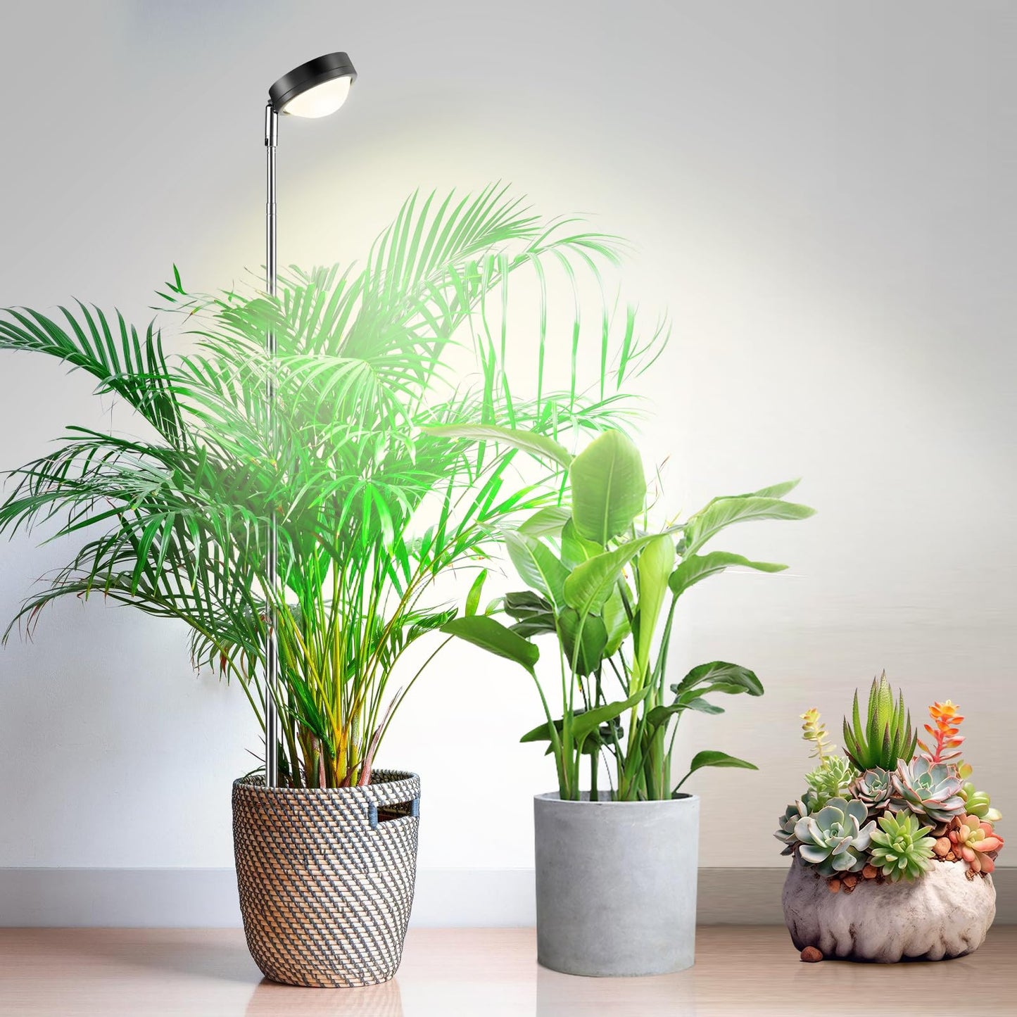 Höhenverstellbare LED-Pflanzenlampe mit Timer, Warmes Weiss Höhenverstellbare