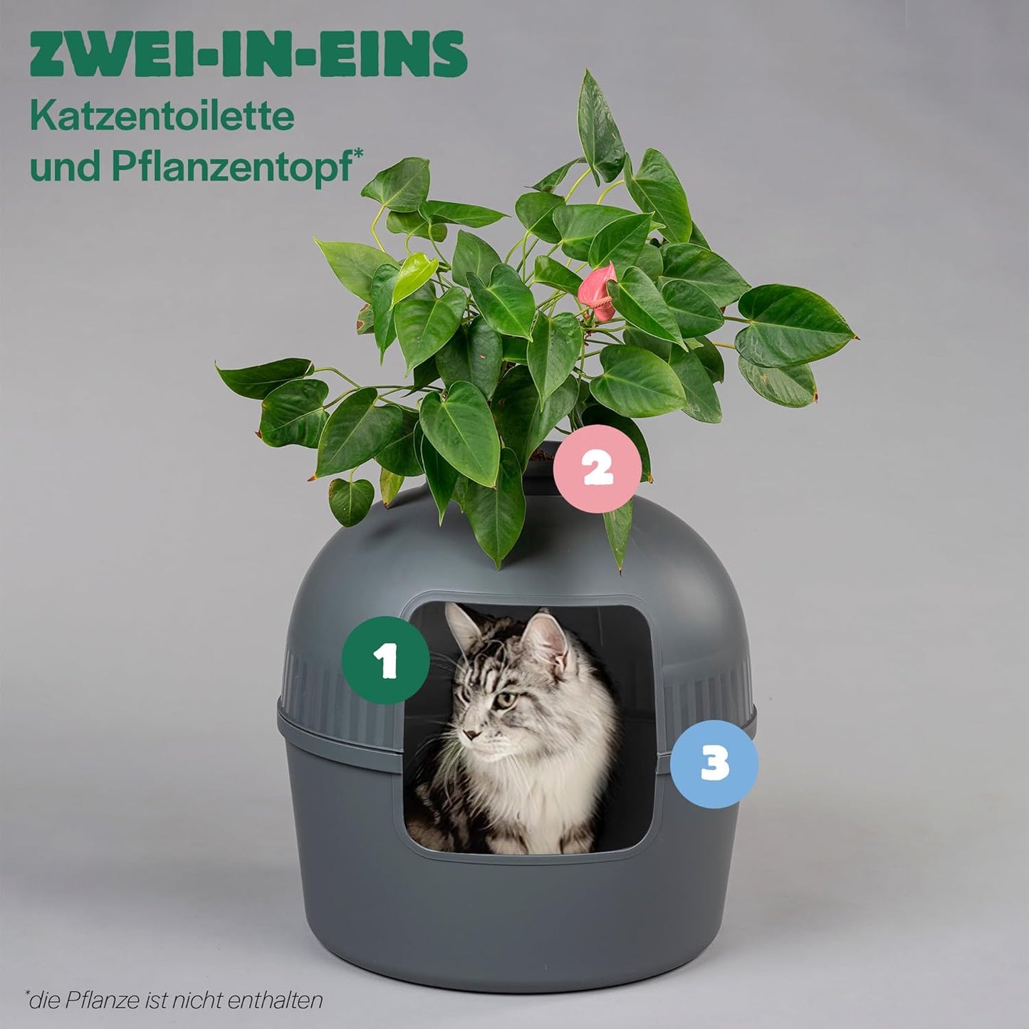 Versteckte Katzentoilette, Grau;anthrazit