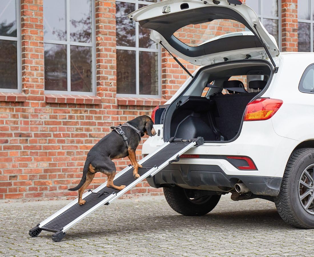 Teleskop-Hunderampe für Auto