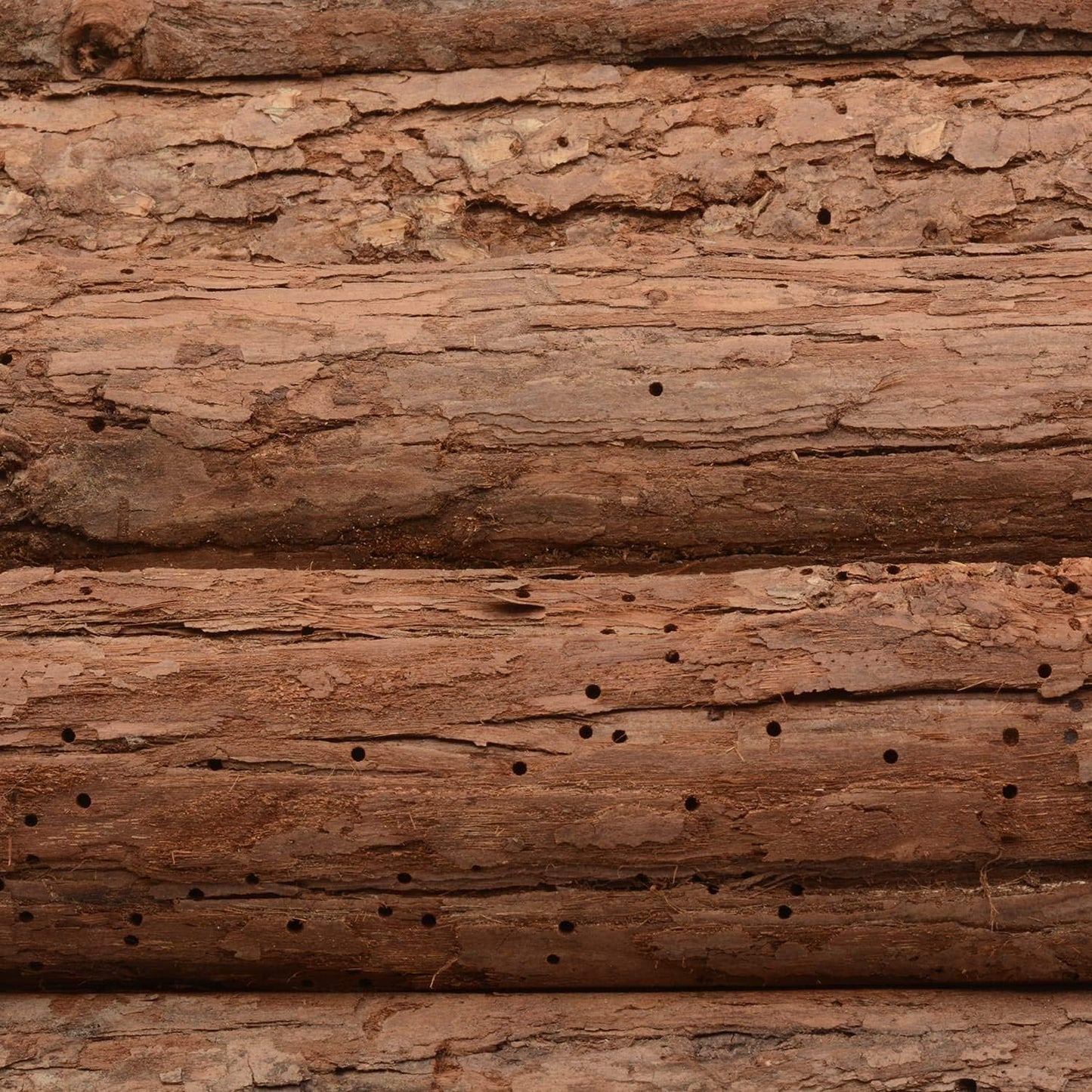 Holzhaus für Igel oder Meerschweinchen