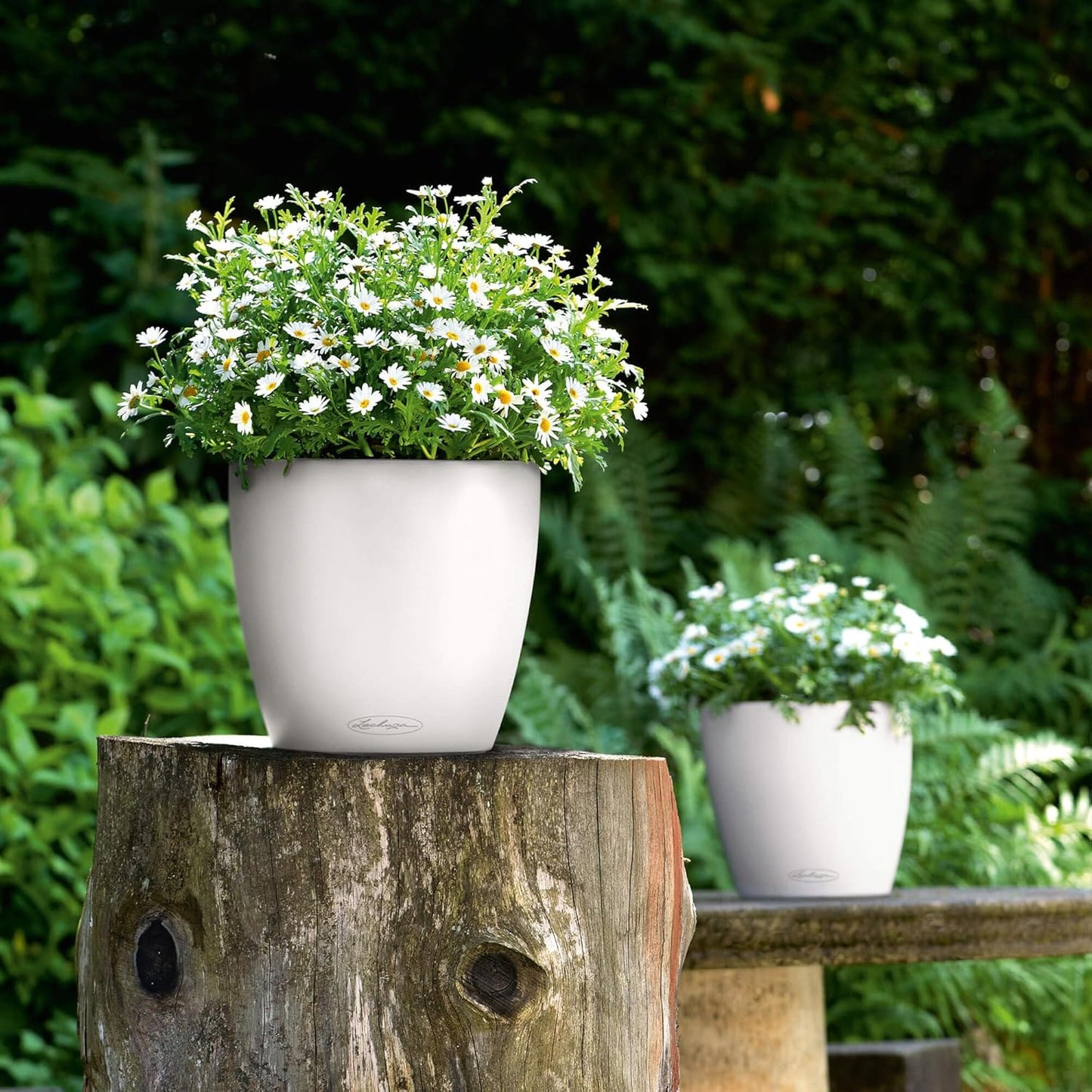 Classico Color Blumenkübel, 28.5x28.5x26 cm Weiss