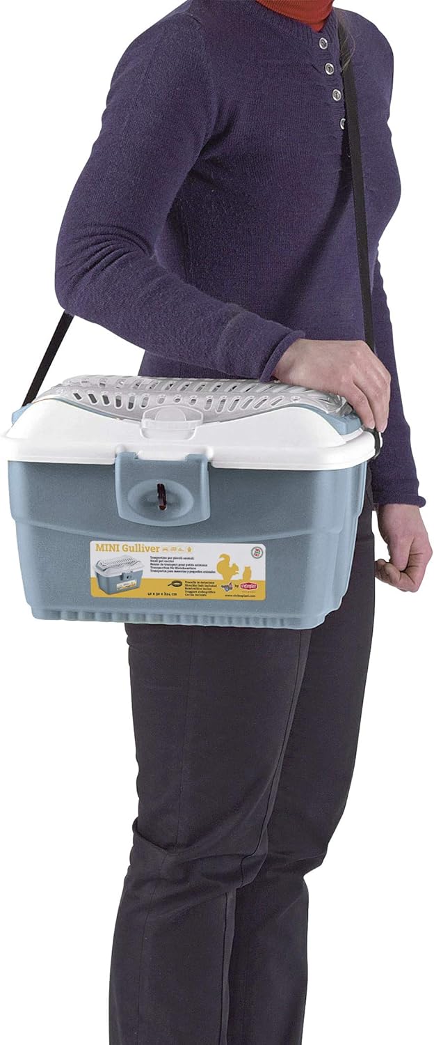 Mini Gulliver Transportbox