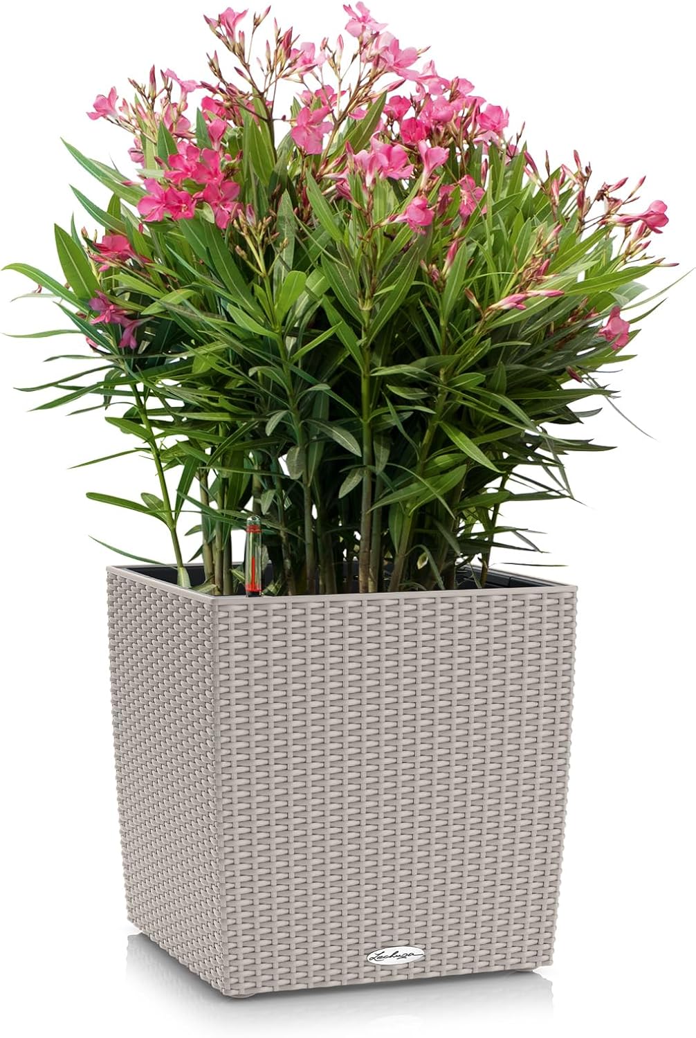 Cube Cottage 40, Rustikal 39 x 39 x 40 cm Sandbraun