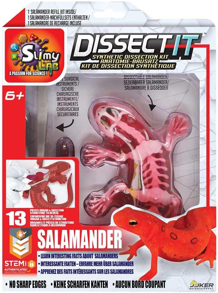 Sezier-Set Salamander, Salamander