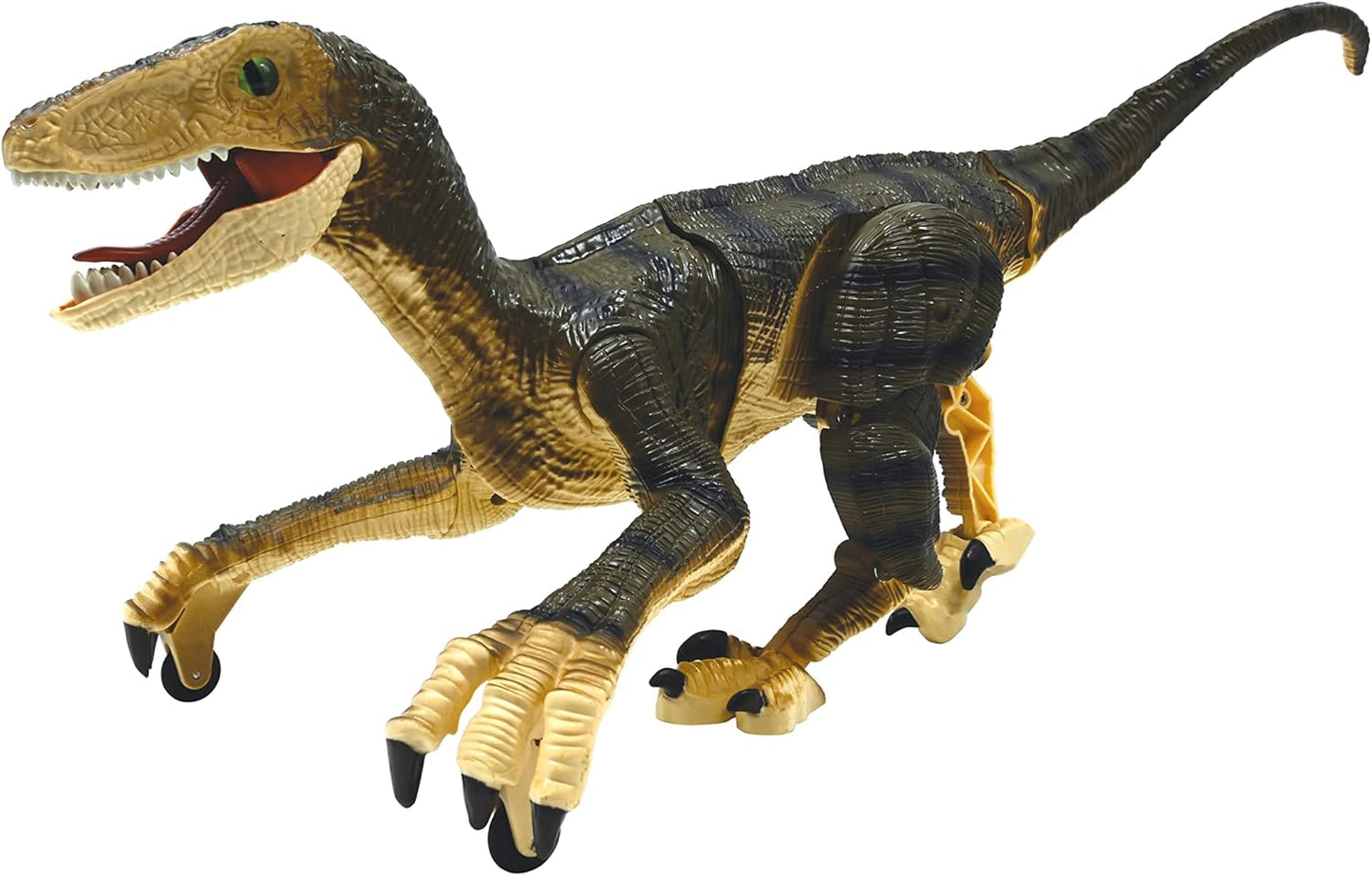 RC Raptor Dinosaurier mit Fernbedienung, DINO01