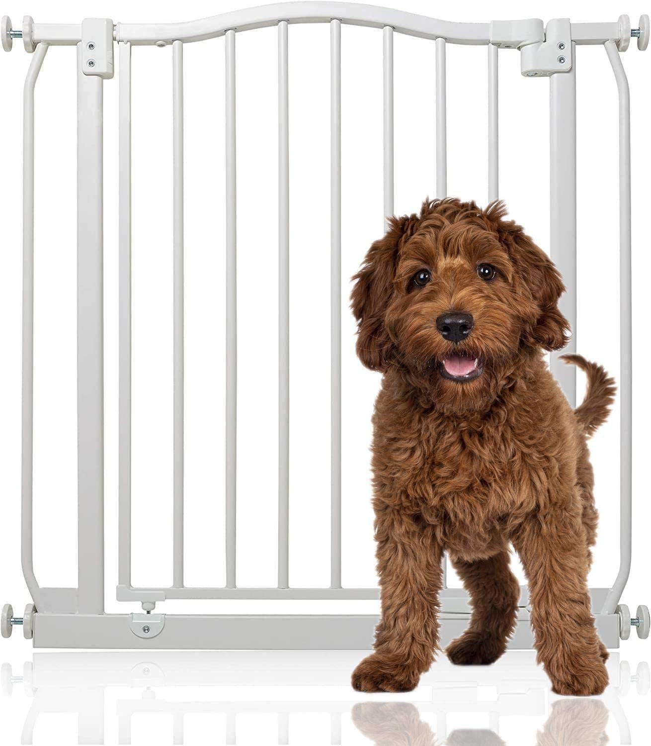 8372 Gebogenes Hundetor, 71cm - 80cm Weiss