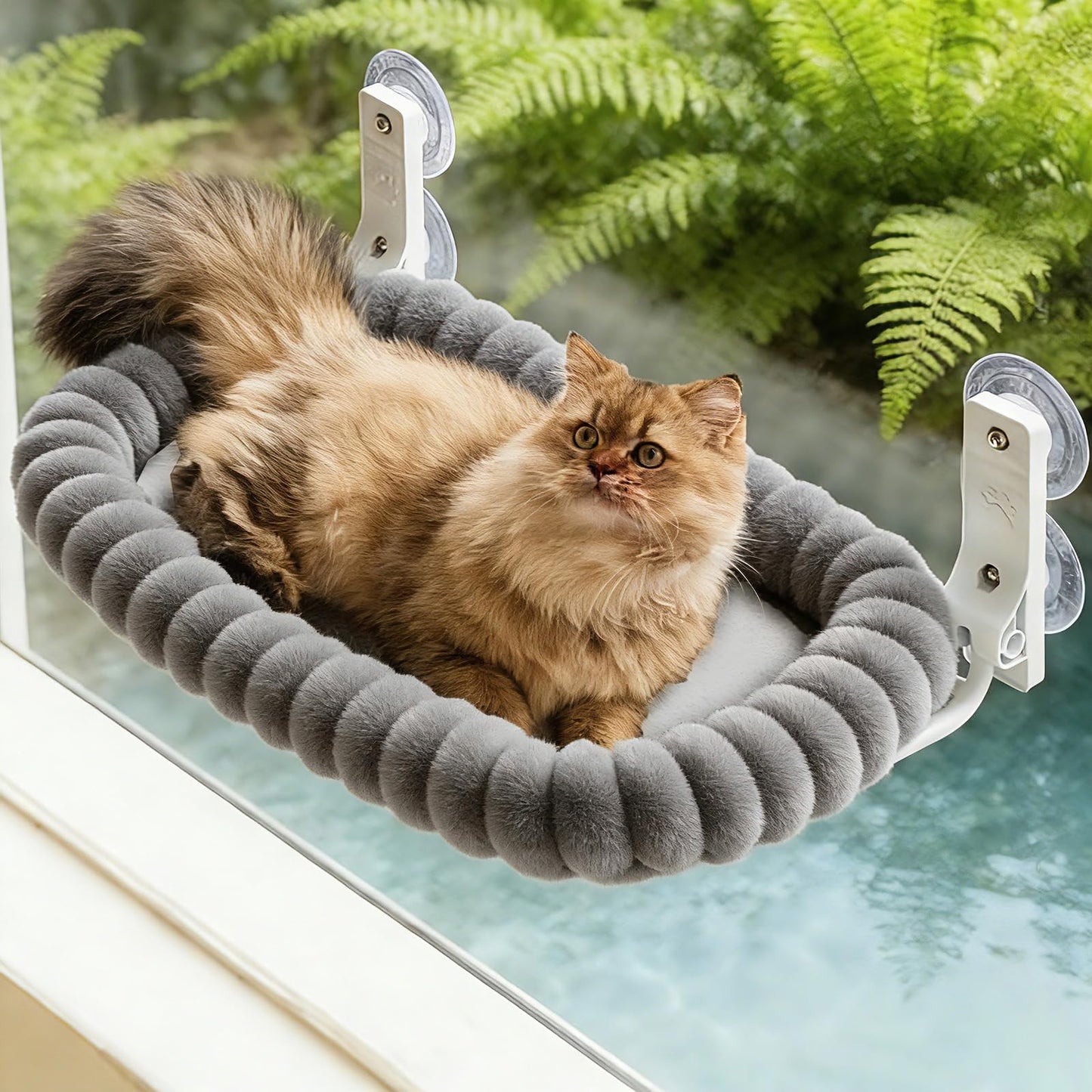 Fensterliege für Katzen, Grau