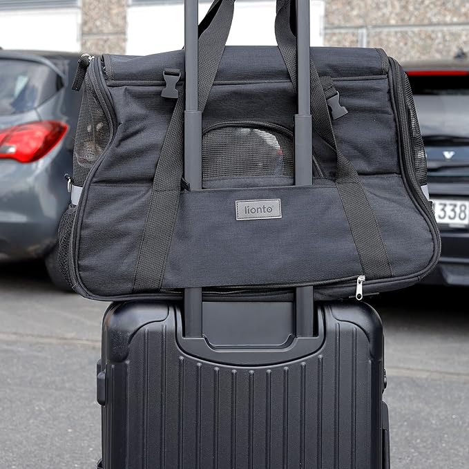 Hundetasche, Schwarz