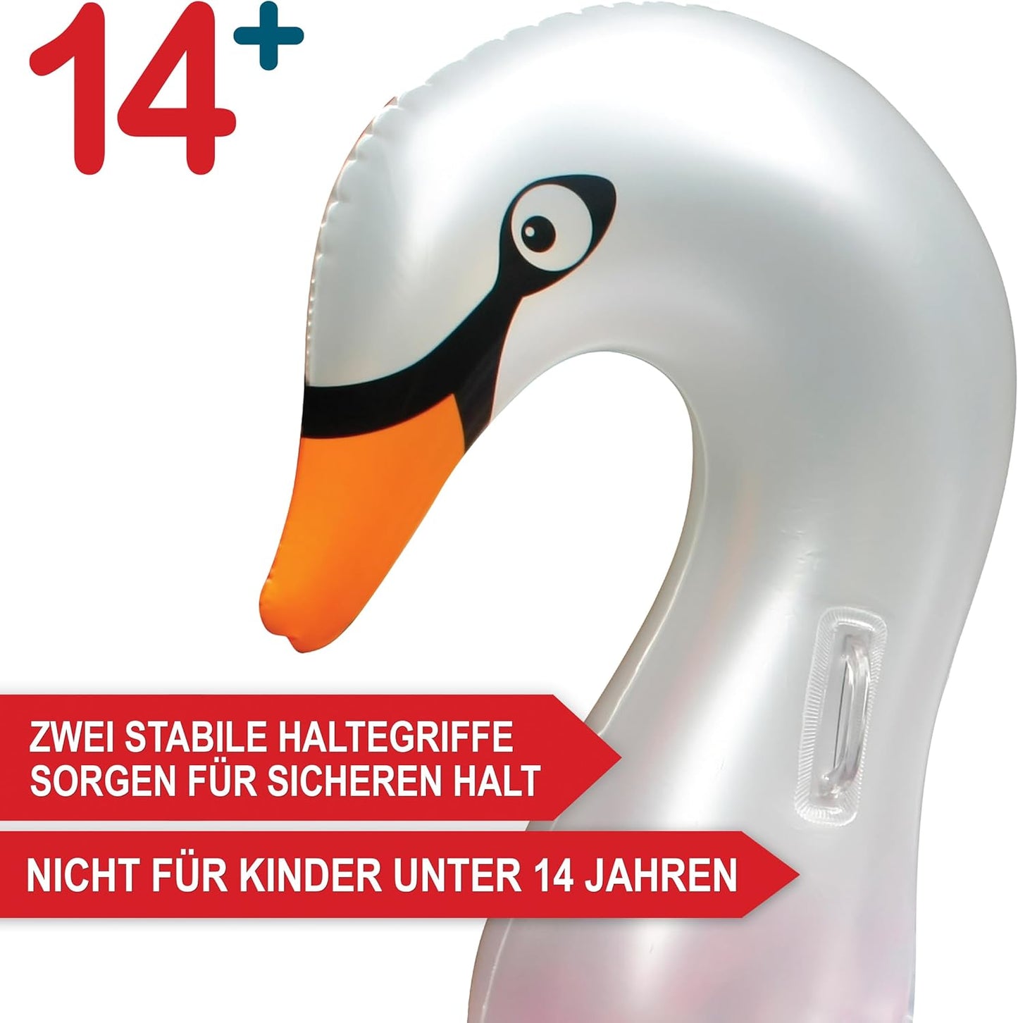 Schwimmtier Schwan