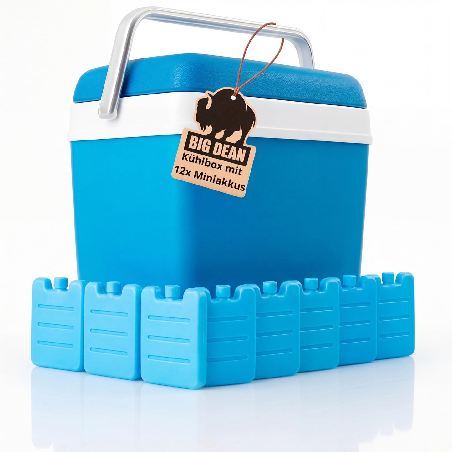 Kühlbox mit 12 Kühlakkus