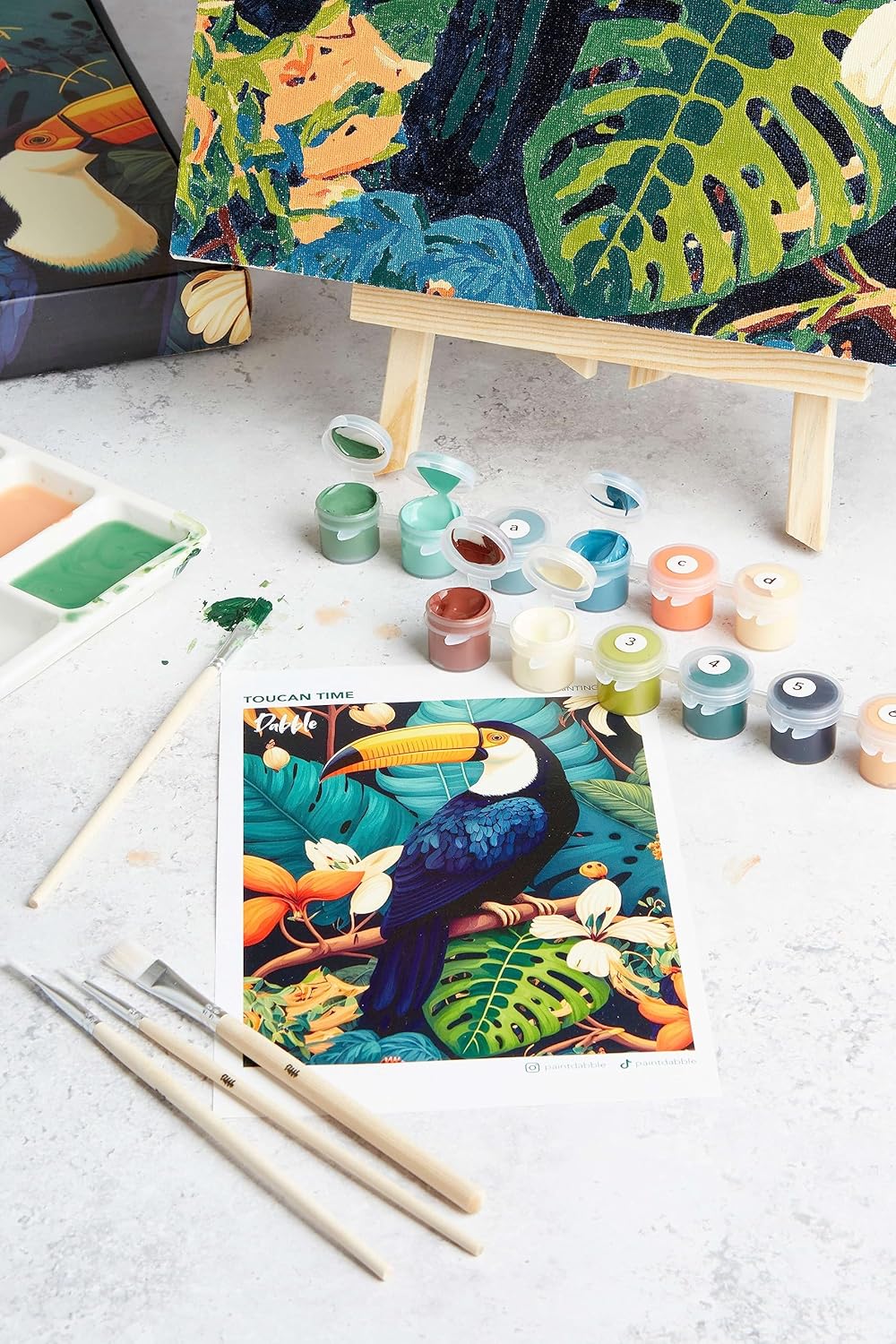 Toucan Time Malen-nach-Zahlen Kit für Erwachsene, Toucan Time
