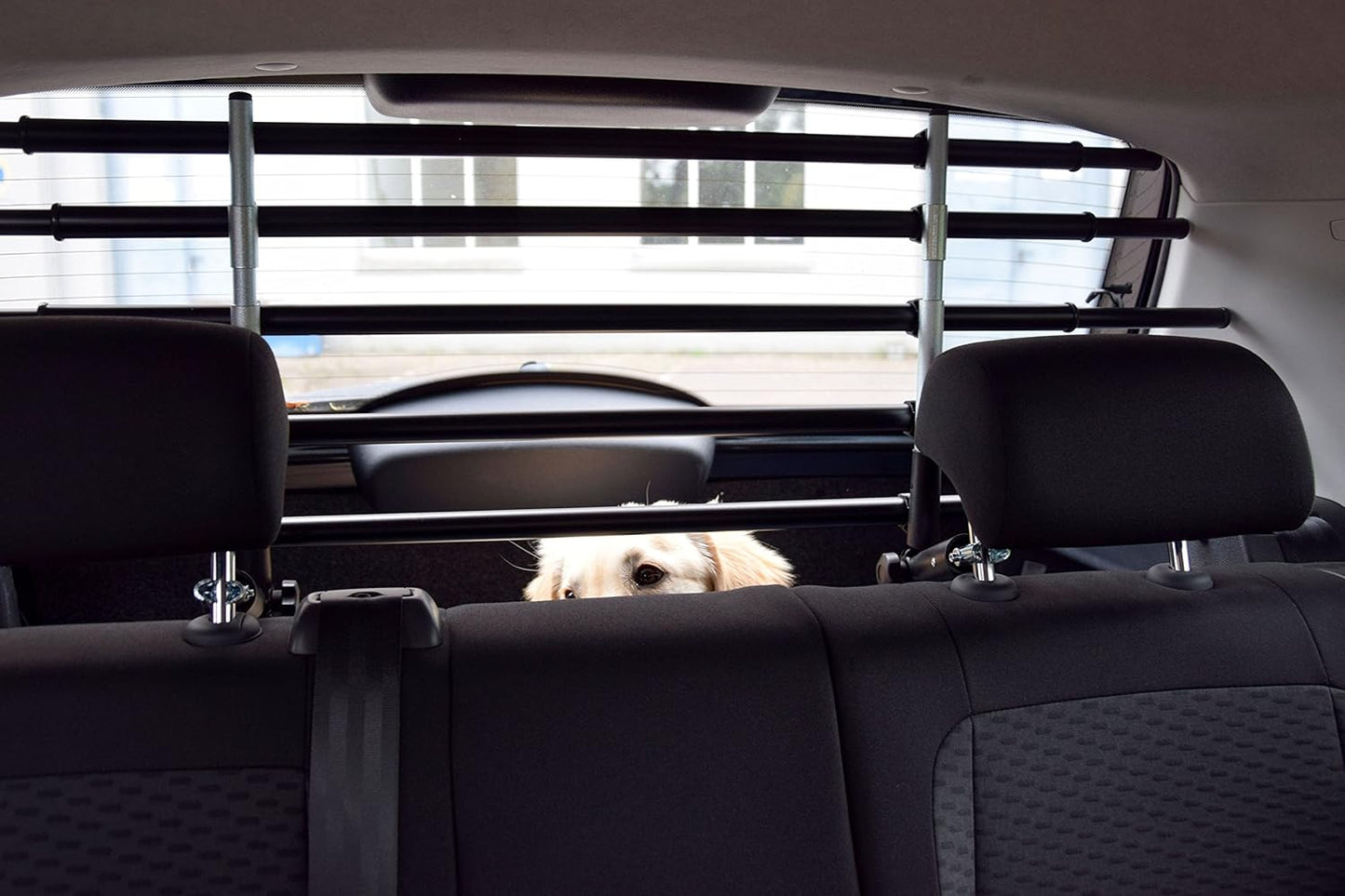 Walky Barrier - umklappbares Hundegitter für Auto-Kopfstütze, Walky Barrier