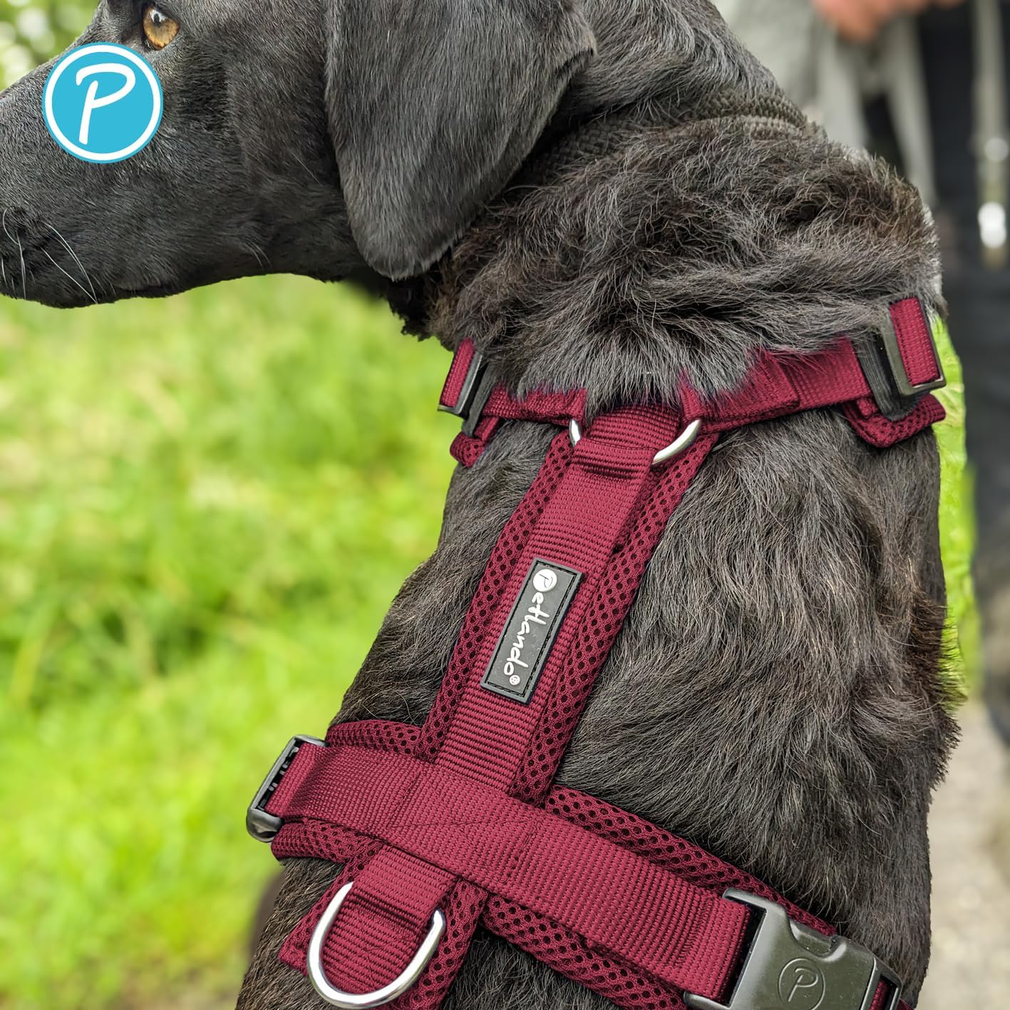 Gepolstertes Hundegeschirr, Bordeaux S