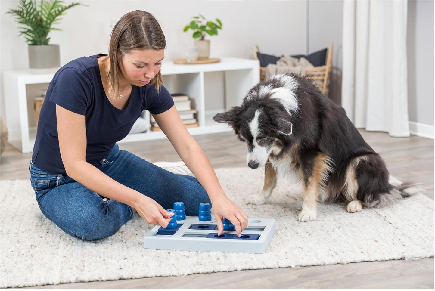 Dog Activity Strategiespiel Chess, Chess