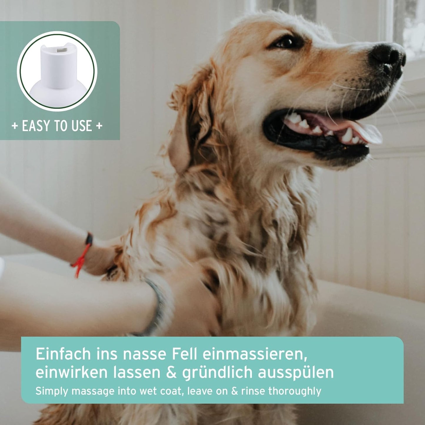 Neemöl Hundeshampoo