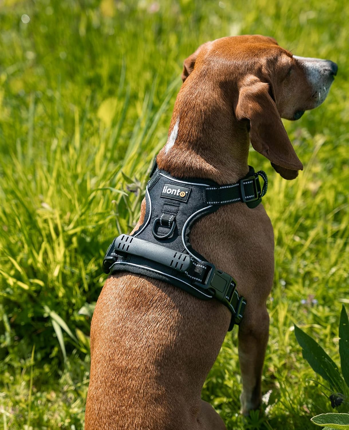 Reflektierendes Hundegeschirr, S Schwarz