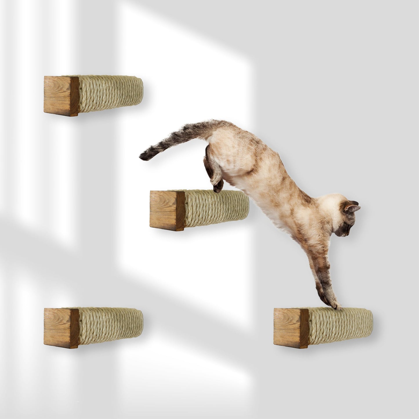 Katzentreppe Kletterwand-Set (4 Stück, Holz), 4er Set