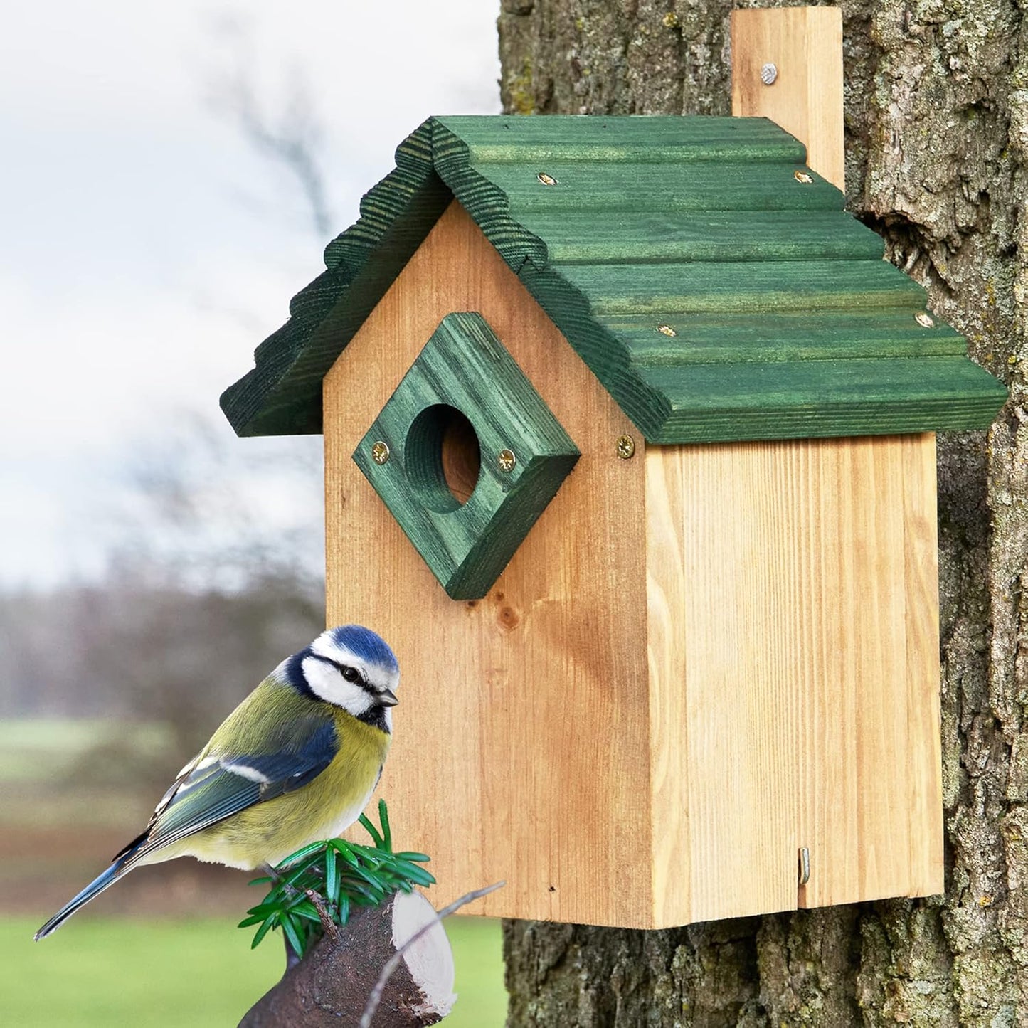 Stabiler Nistkasten für Wild- & Gartenvögel