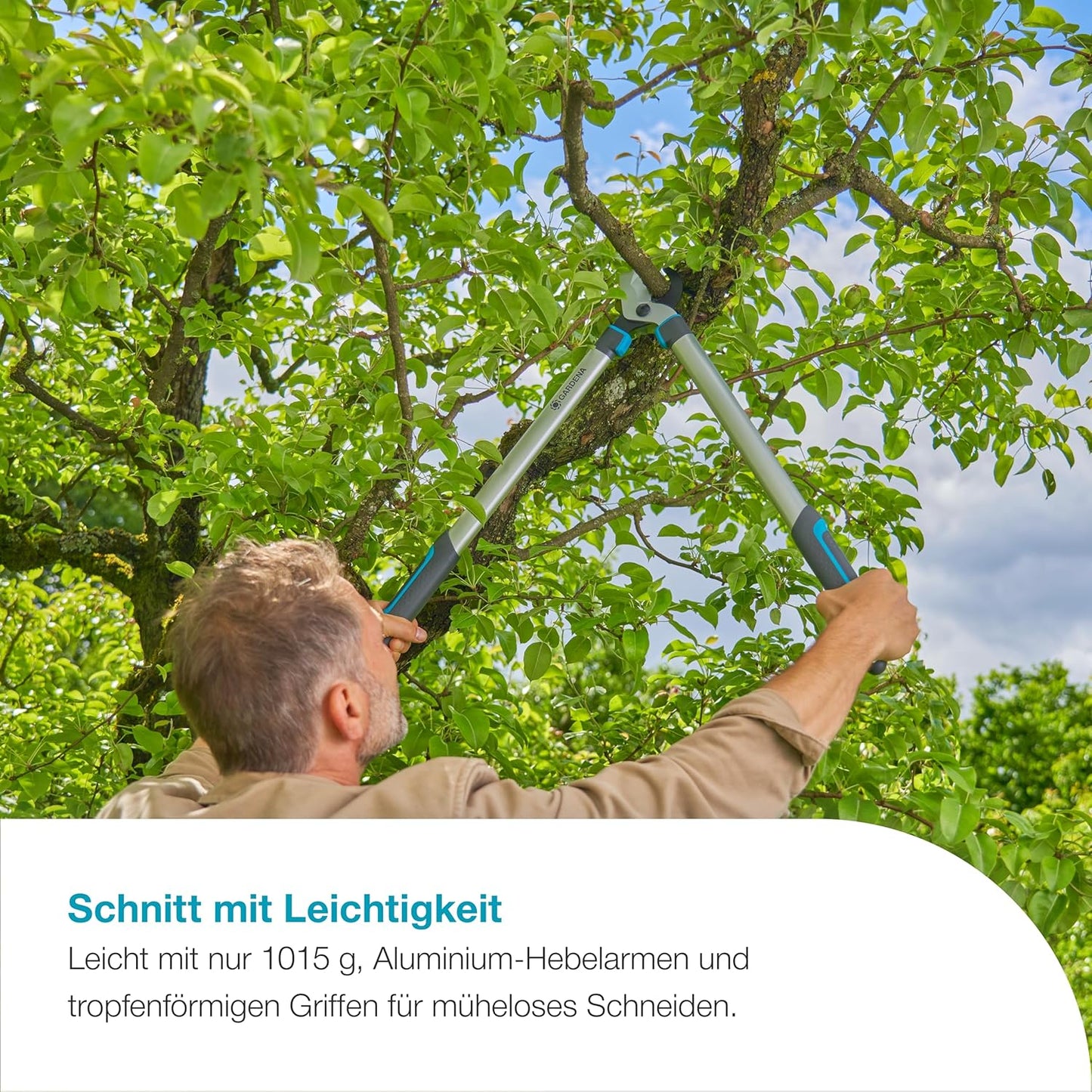 Astschere EasyCut L (grau/türkis, 50cm), Länge 68cm Frisches Holz Ast Ø 4,5cm