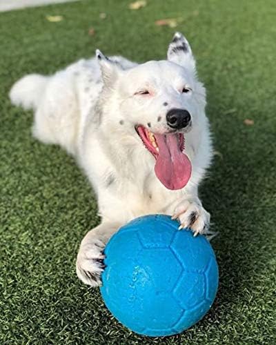 Hundespielzeug Fussball, Large / X Large ozeanblau