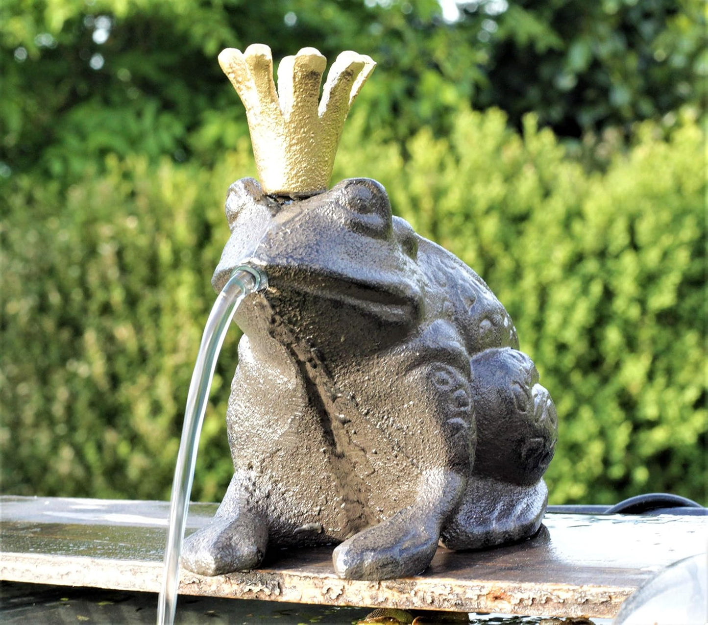 Wasserspeier Froschkönig mit Solarpumpe Solaris 170