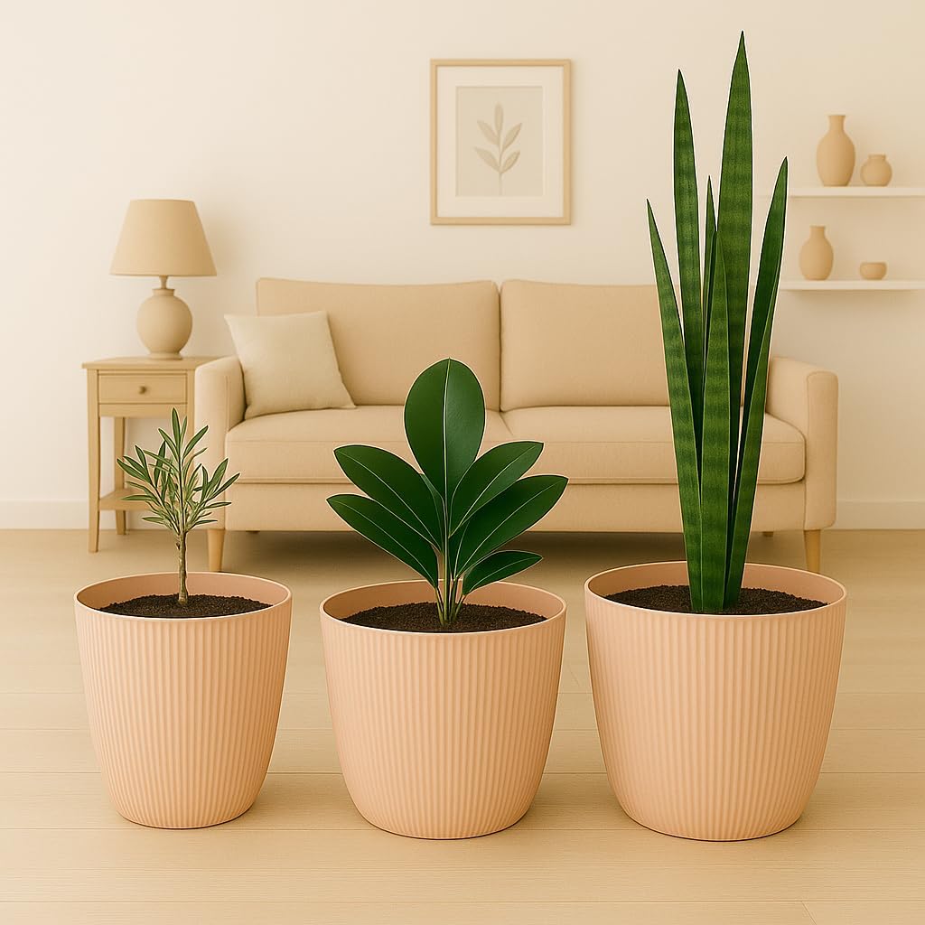 Blumentopf Set, Ø 18 cm (7.08 inch) Hellbeige