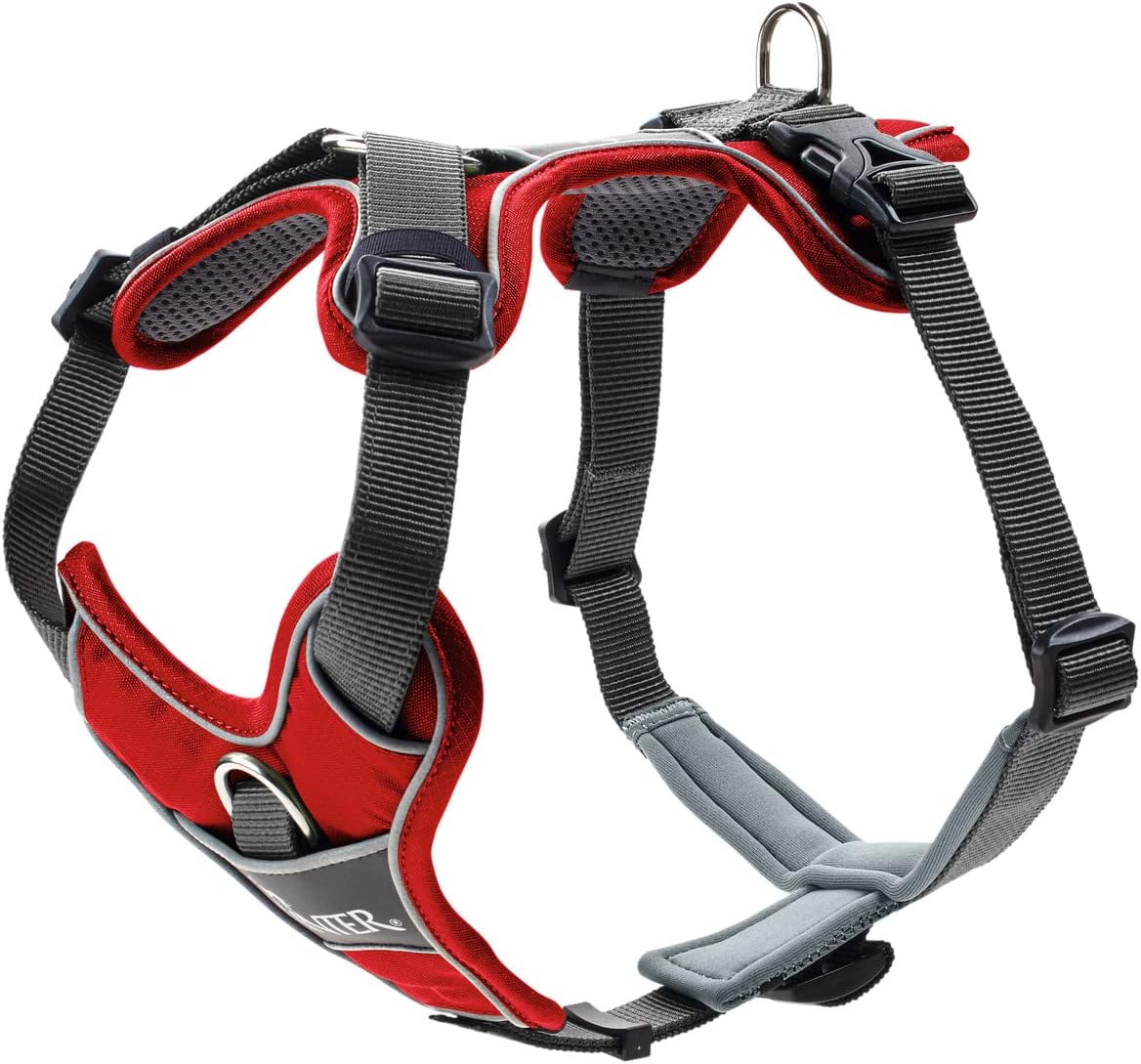 Geschirr Divo, 45 - 56 cm rot/grau