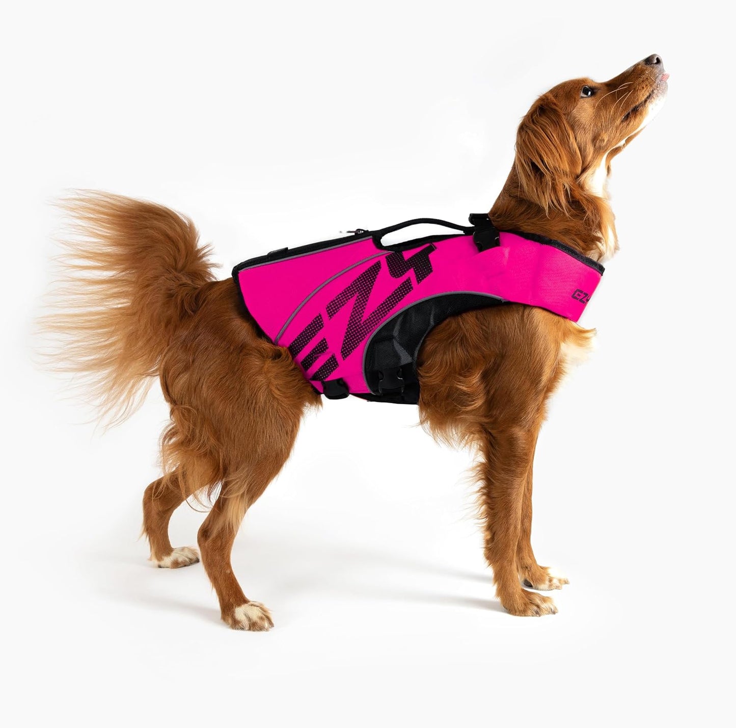 Schwimmweste für Hunde, Rosa XL