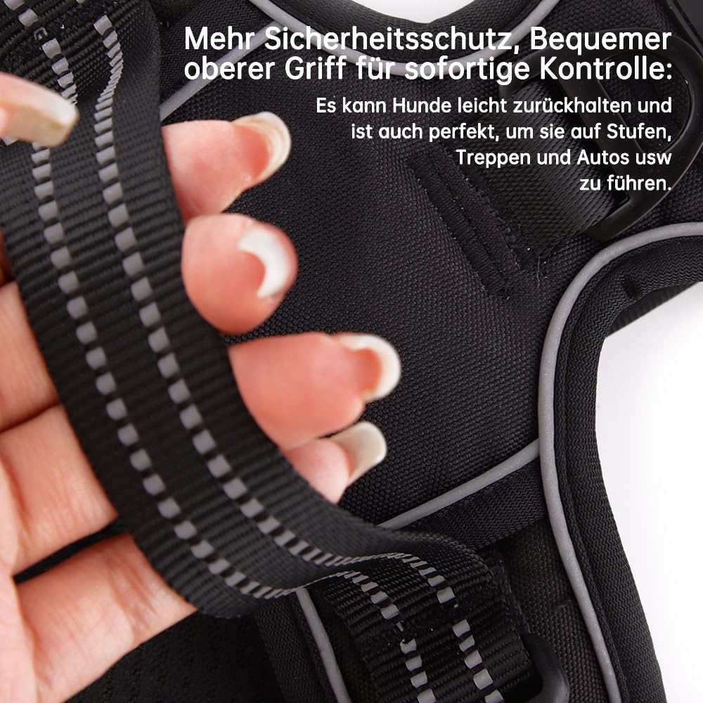 Hundegeschirr-Set inkl. Leine mit Reflexstreifen, M