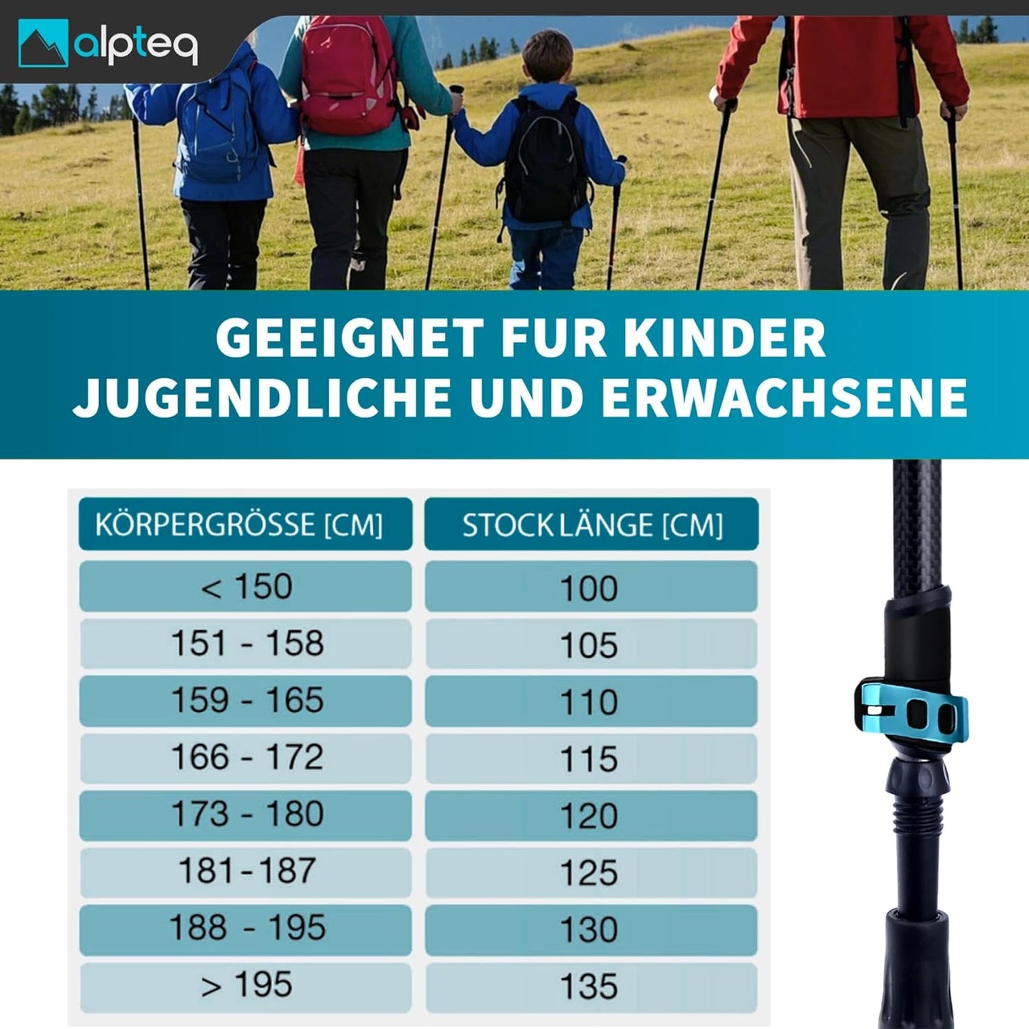 Teleskop-Wanderstöcke, Blau