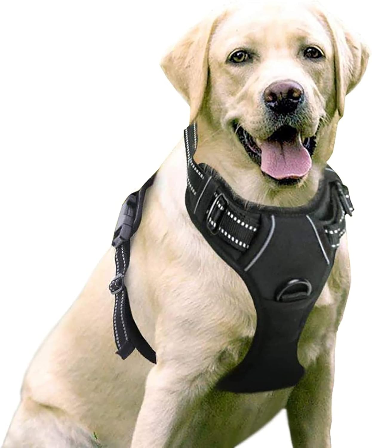 Hundegeschirr, XL (1er Pack), Schwarz