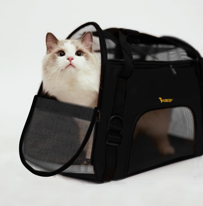 Transporttasche