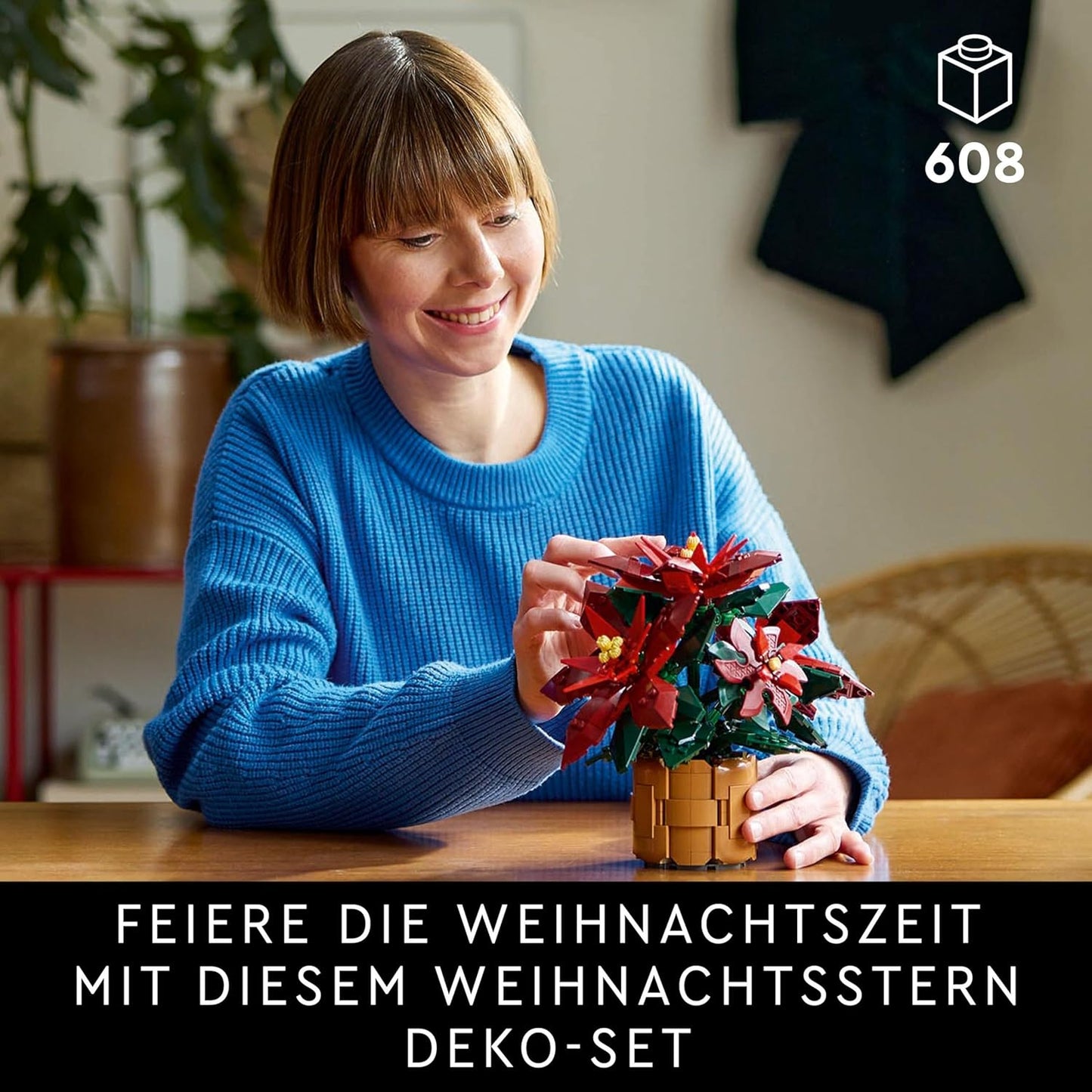 Weihnachtsstern