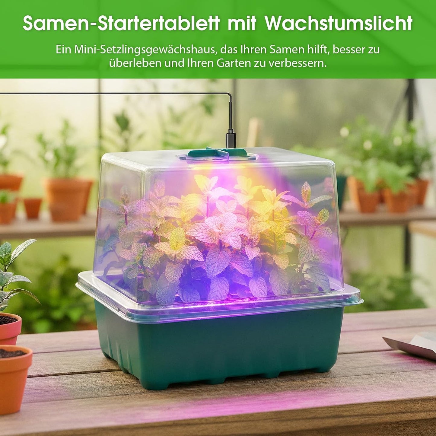 6 x Anzuchtschalen mit LED-Wachstumslicht und Timer, Grün-6pcs