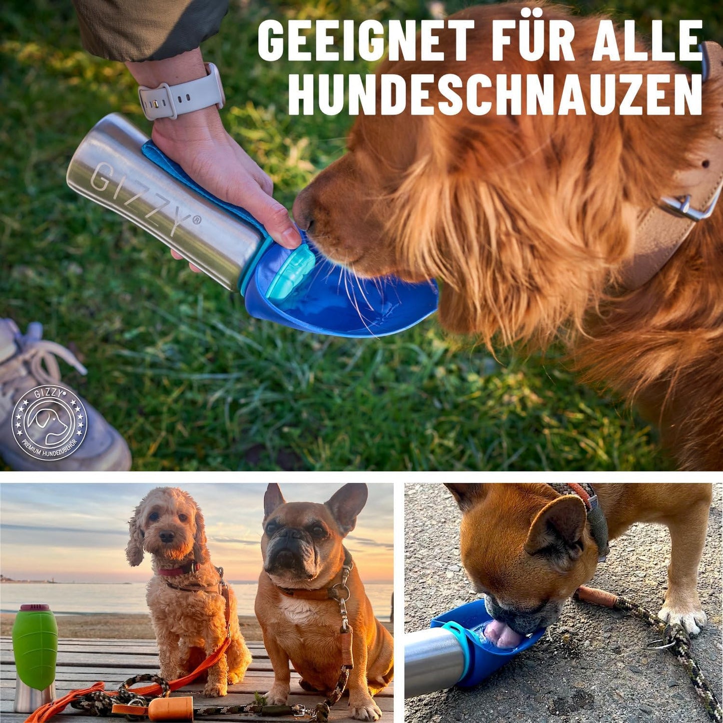 Trinkflasche für Hunde für unterwegs, Ozeanblau 500 ml