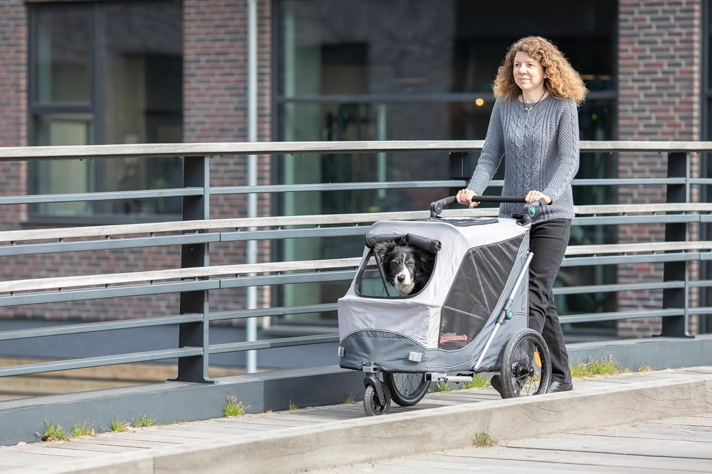 Velo-Anhänger mit integriertem Kissen und Leine, S