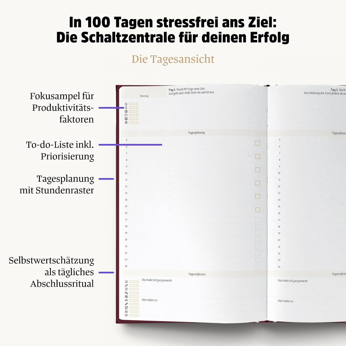 Ein gutes Projekt, Lavendel