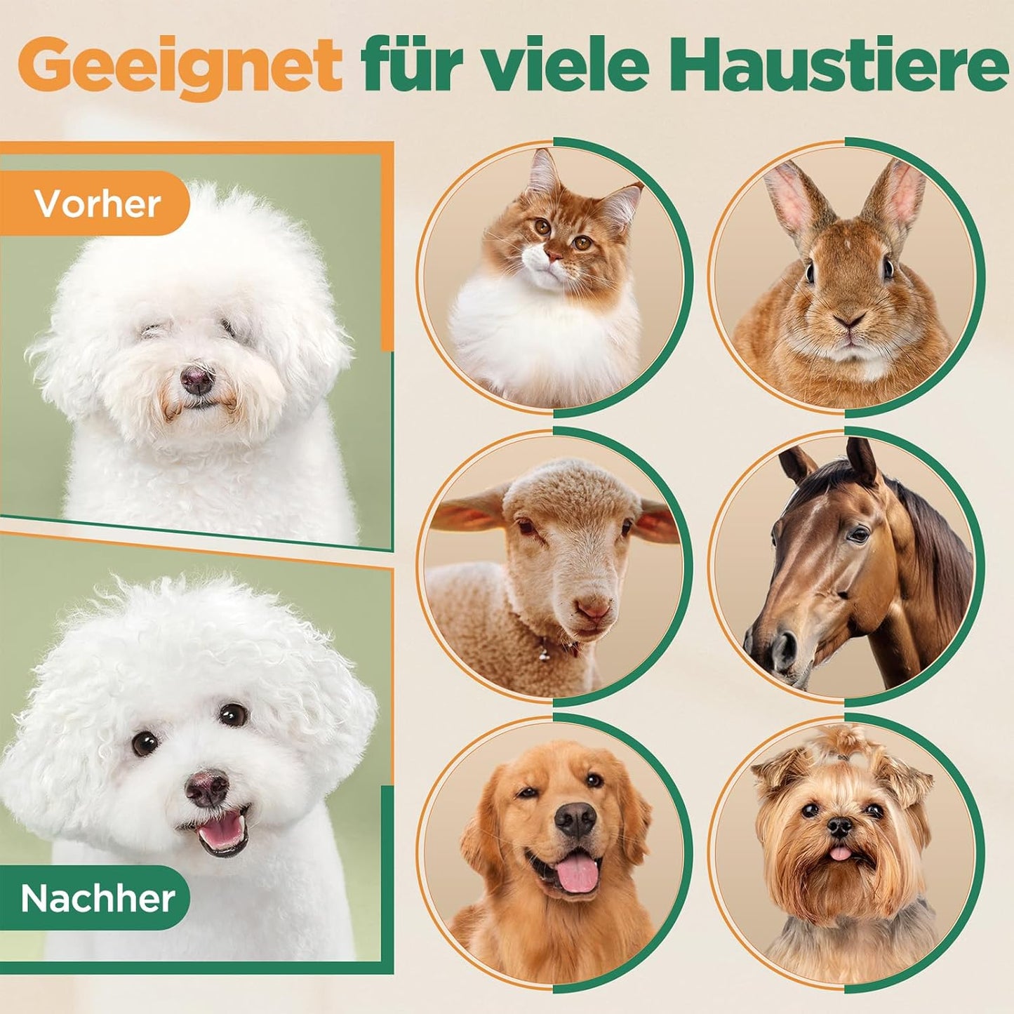 Hundeschermaschine mit Zubehör, 4-in-1 Pfotentrimmer + Schermaschine + Scherenset Silber