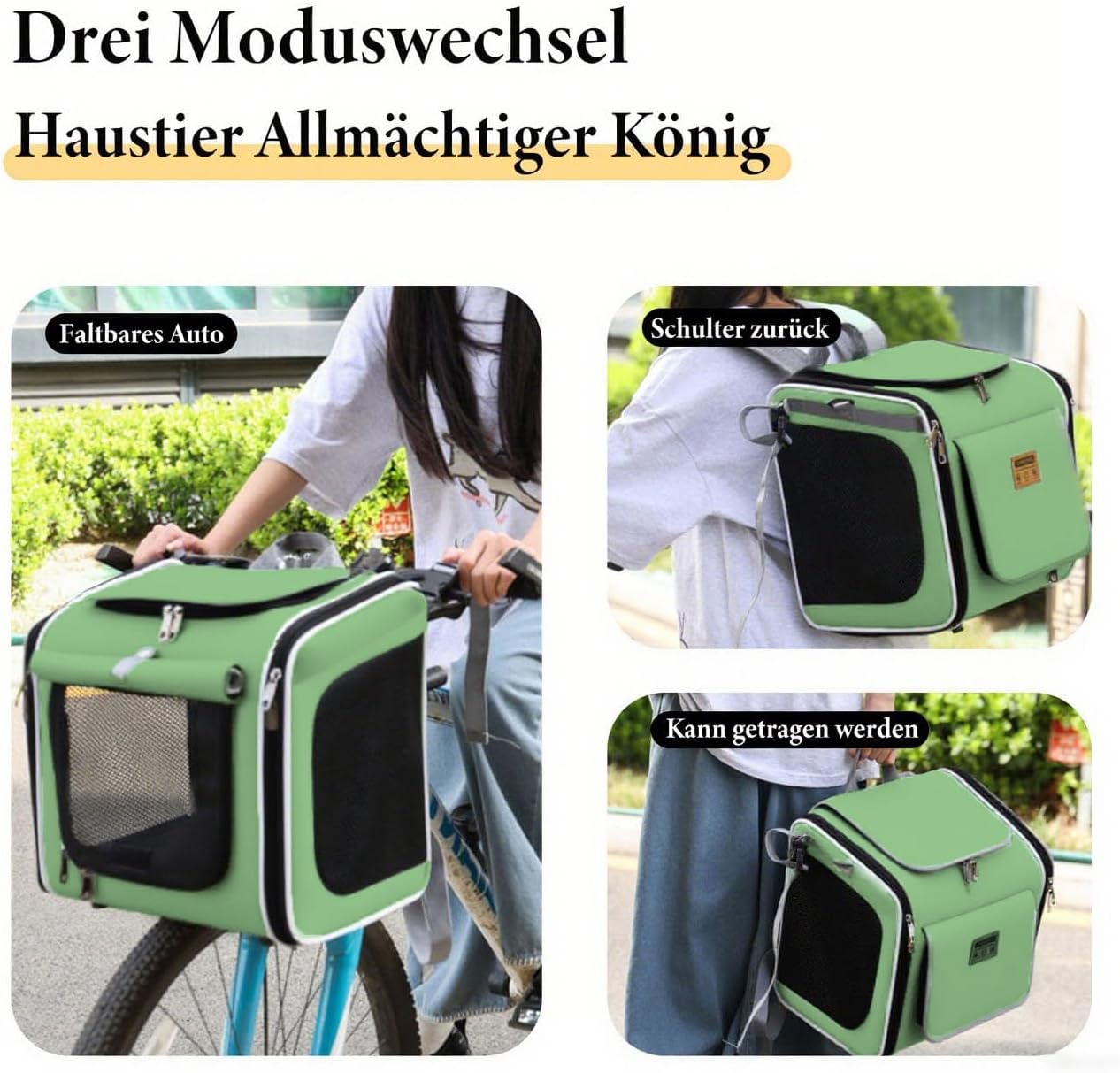 Faltbarer Velo-Hundekorb, Green