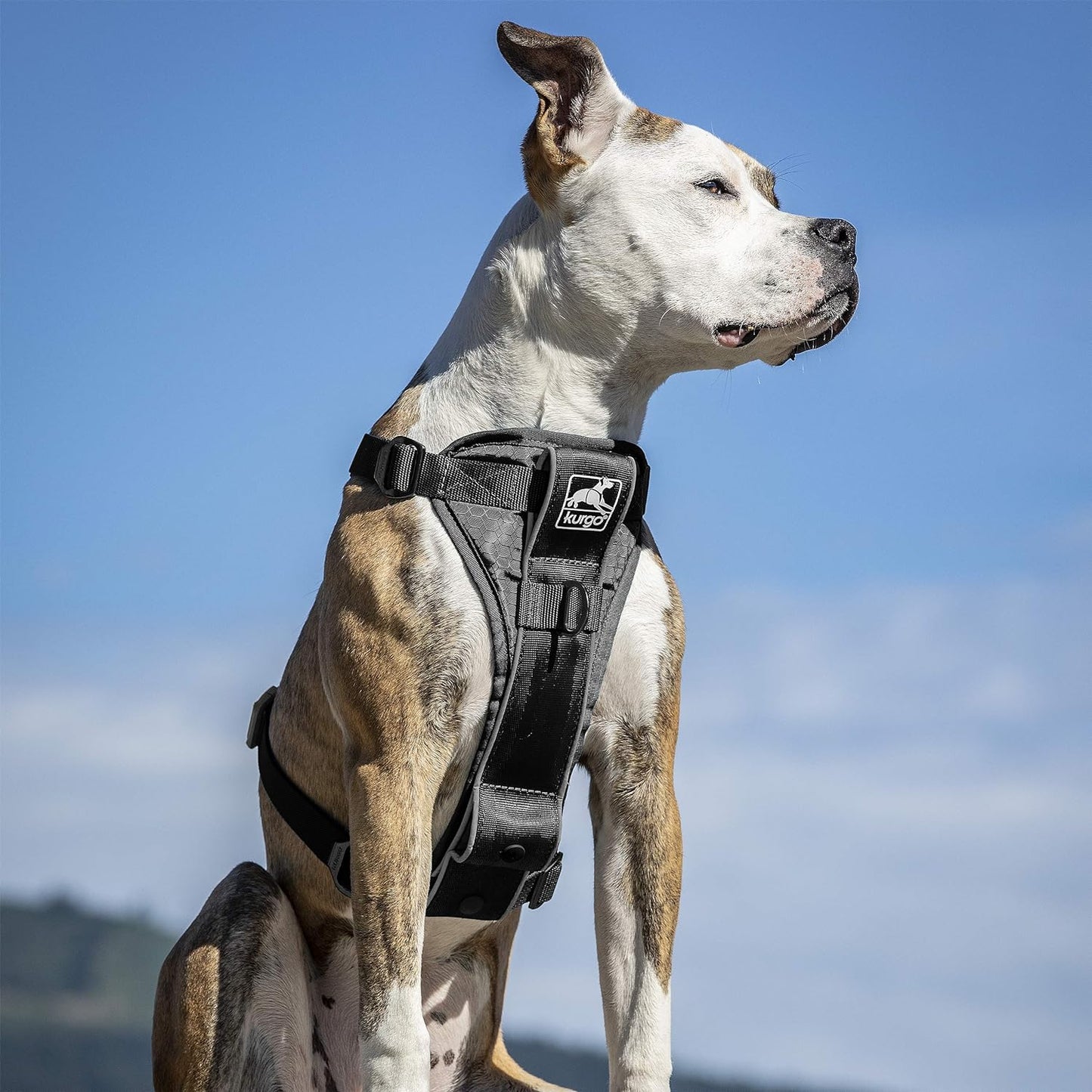 Hundegeschirr - Tru-Fit Smart, XS