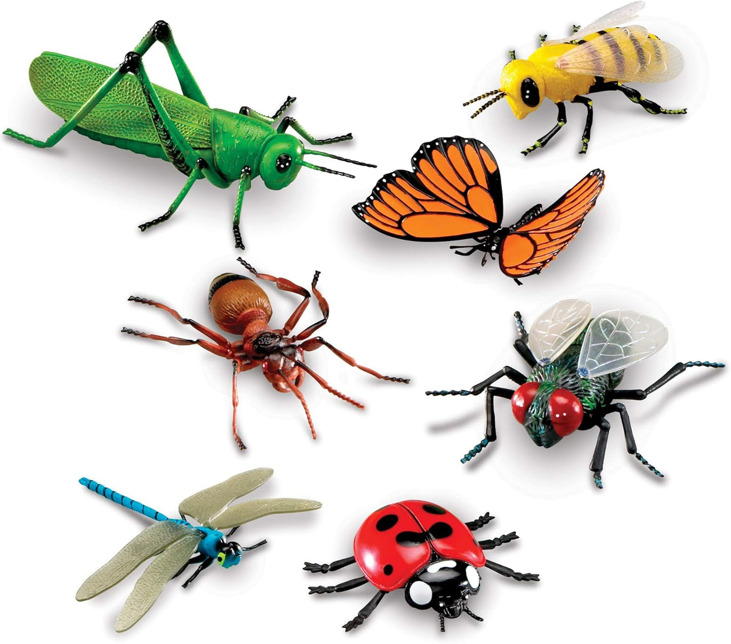 Grosse Insekten Lernspielzeug-Set