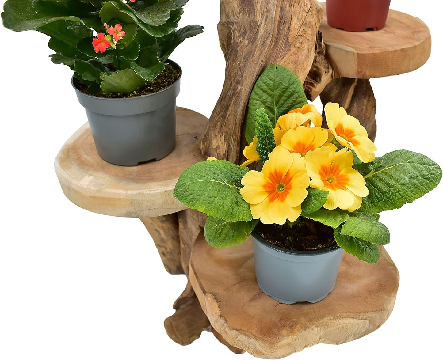 Blumenhocker
