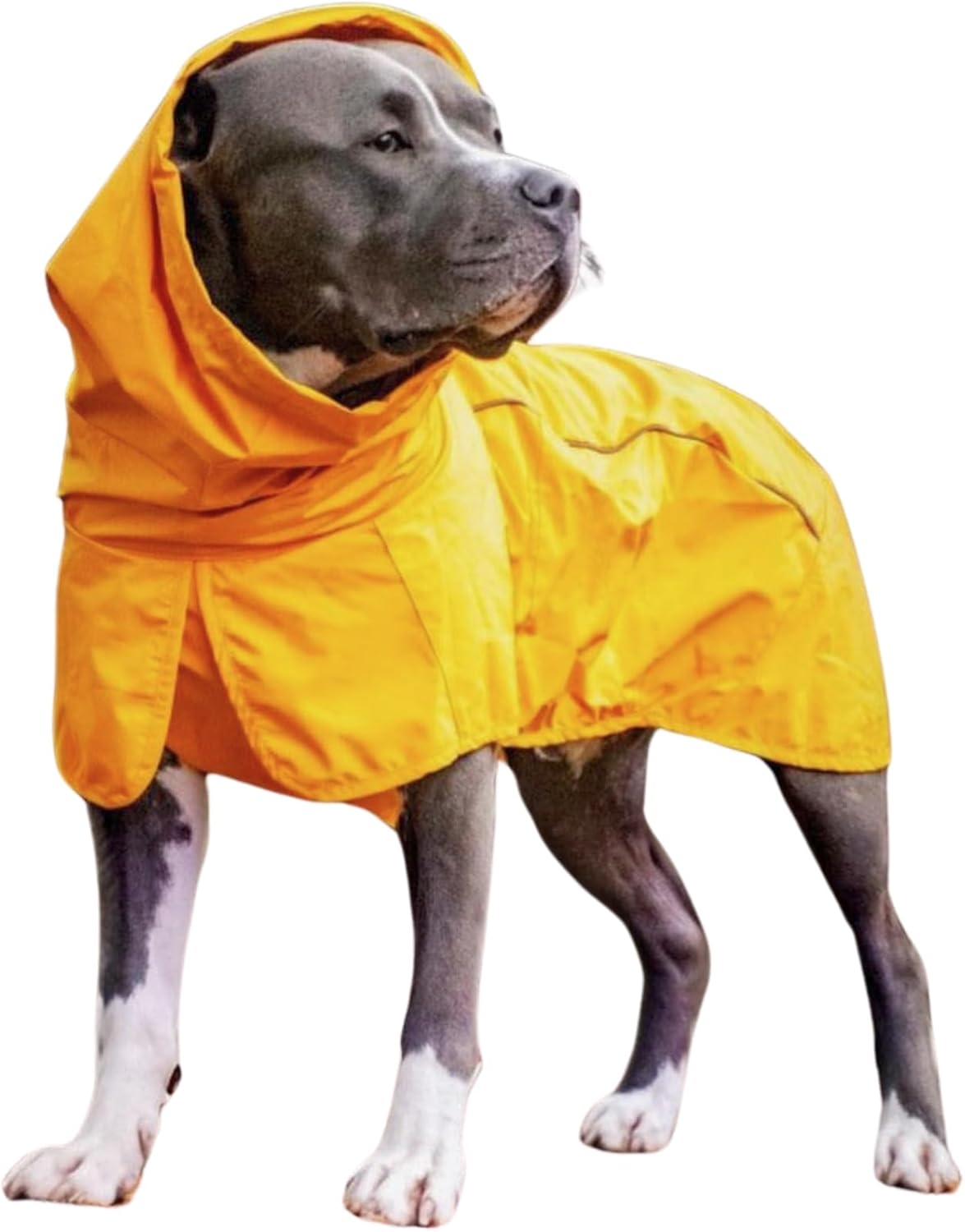 Atmungsaktive Hunderegenmantel, Mustard Yellow 2XL: 18-27kg