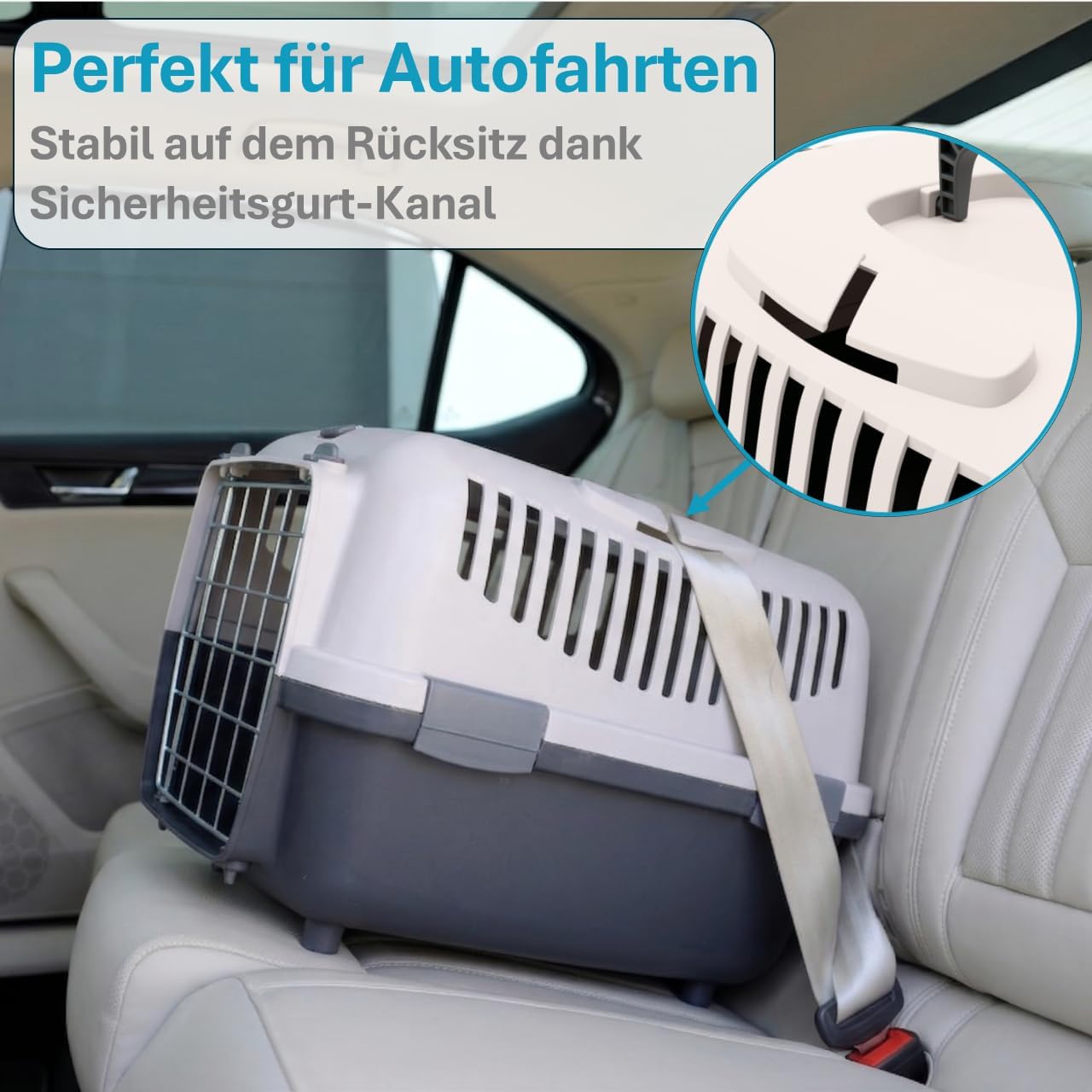 Hartschalen-Transportbox für kleine Hunde und Katzen (bis 6 kg), Blau 1