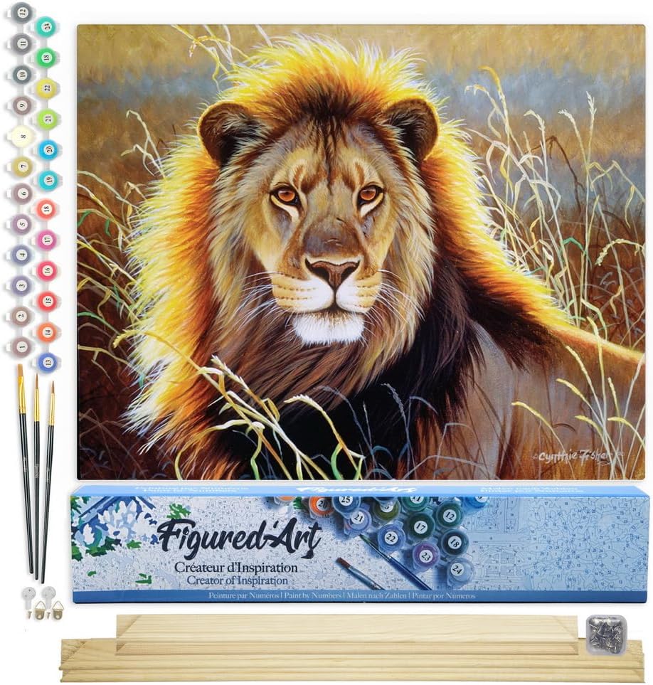 Malen nach Zahlen Set Löwe in der Savanne, Löwe in der Savanne 40x50cm Mit Keilrahmen (nicht gespannt)