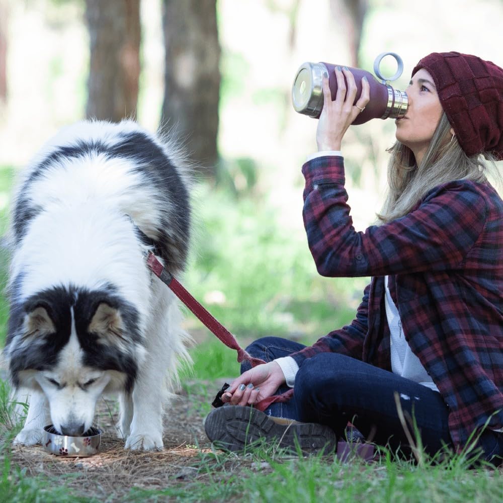 Hundetrinkflasche für unterwegs, Burgunderrot