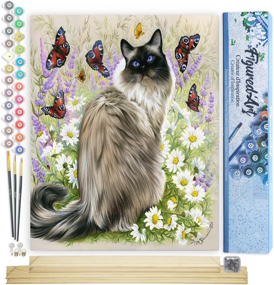 Malen nach Zahlen Set Katze und Schmetterlinge, Katze und Schmetterlinge 40x50cm Mit Keilrahmen (nicht gespannt)