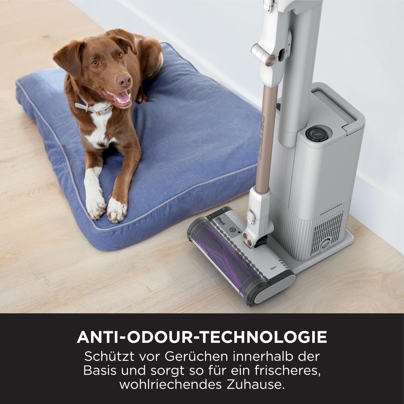 IW3612EUT, Detect - Pet