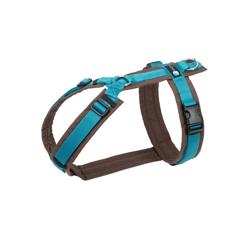 Hundegeschirr Fun, XS-Standard